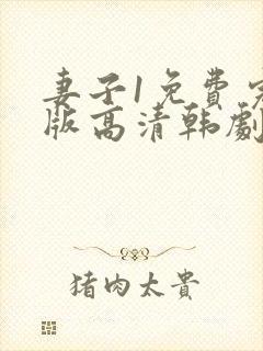 妻子1免费完整版高清韩剧在线观看全集