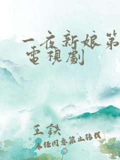 一夜新娘第二季 电视剧