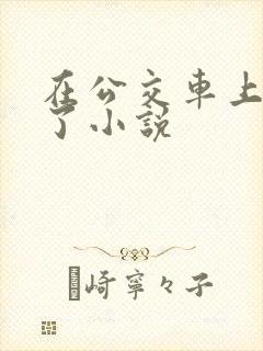 在公交车上高潮了小说