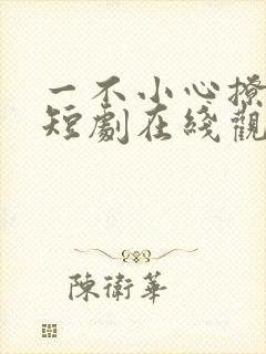 一不小心撩错人短剧在线观看