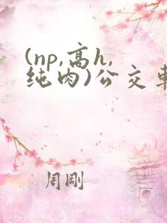 (np,高h,纯肉)公交车