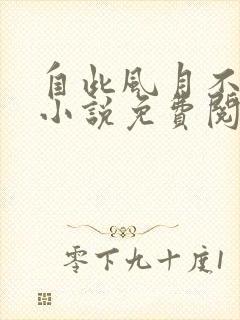 自此风月不相逢小说免费阅读