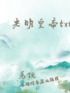 光明皇帝txt