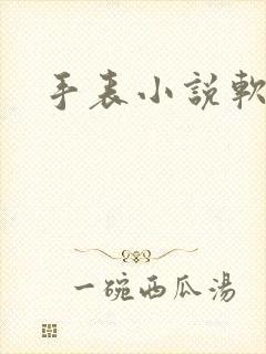 手表小说软件