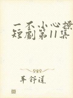 一不小心撩错人短剧第11集