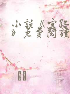 小说《官路风云》免费阅读