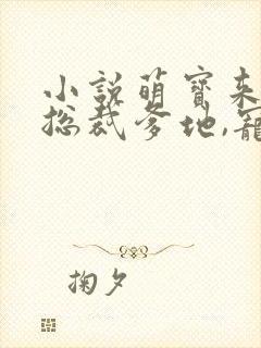 小说萌宝来袭:总裁爹地,宠上天