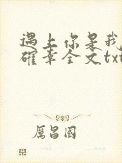 遇上你是我的小确幸全文txt下载