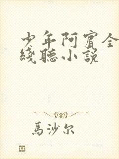 少年阿宾全文在线听小说
