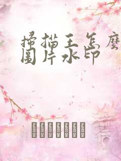 扫描王怎么去除图片水印