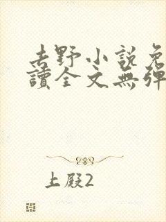 去野小说免费阅读全文无弹窗