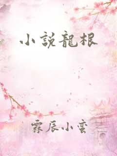 小说龙根