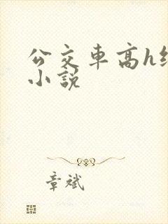 公交车高h纯肉小说