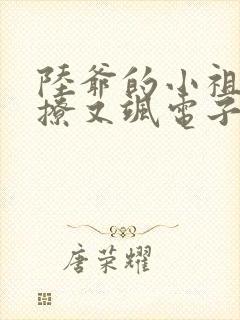 陆爷的小祖宗又撩又飒电子书