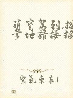 萌宝驾到,总裁爹地请接招