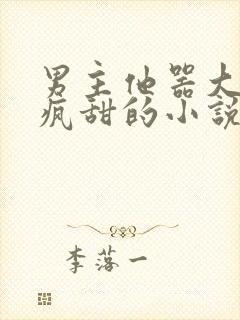 男主他器大活好疯甜的小说