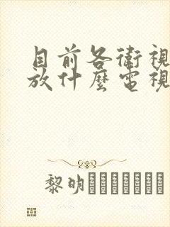 目前各卫视台播放什么电视剧