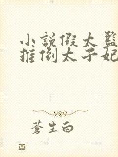 小说假太监:从推倒太子妃开始李显无弹窗