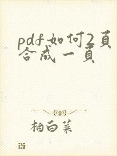 pdf如何2页合成一页
