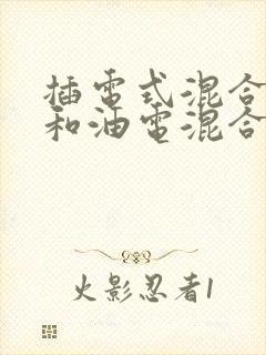 插电式混合动力和油电混合哪个好