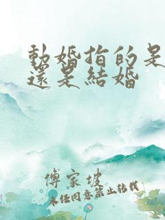 动婚指的是恋爱还是结婚