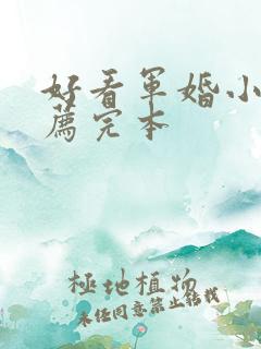 好看军婚小说推荐完本
