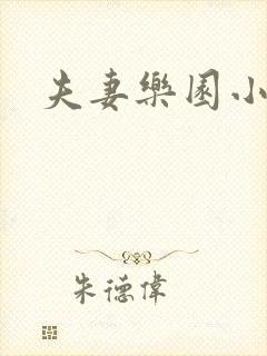 夫妻乐园小说
