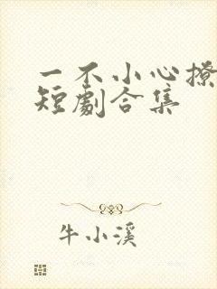 一不小心撩错人短剧合集