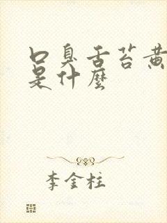 口臭舌苔黄厚腻是什么