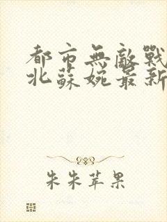 都市无敌战神林北苏婉最新章节