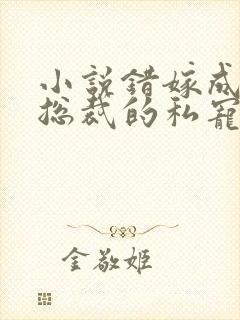 小说错嫁成婚:总裁的私宠甜妻