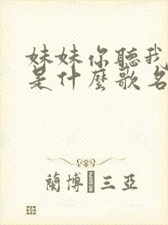 妹妹你听我说呀是什么歌名啊