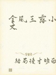 金风玉露小说全文