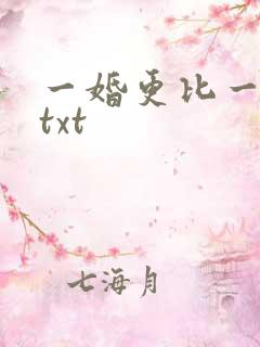 一婚更比一婚高txt