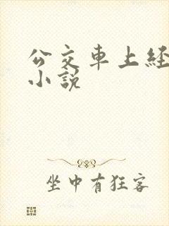 公交车上经典的小说
