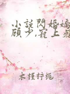 小说闪婚娇妻:顾少,宠上瘾在线阅读
