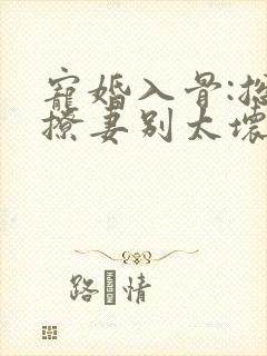 宠婚入骨:总裁撩妻别太坏免费在线阅读
