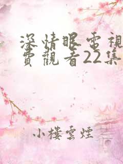深情眼电视剧免费观看22集