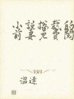 小说总裁的天价前妻免费阅读