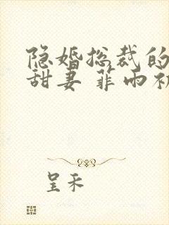 隐婚总裁的绯闻甜妻 菲雨初情