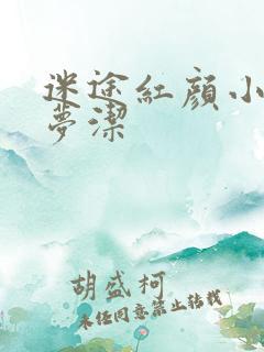 迷途红颜小说陈梦洁