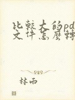 比较大的pdf文件怎么转成word