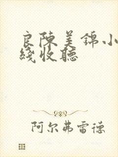 良陈美锦小说在线收听