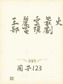 王丽云最火的5部电视剧