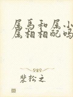 属马和属小龙的属相相配吗