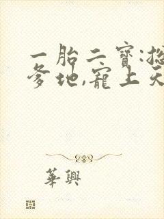 一胎二宝:总裁爹地,宠上天 酒甜甜