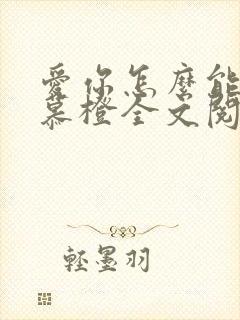爱你怎么能了沈慕橙全文阅读