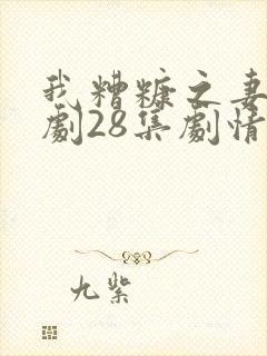 我糟糠之妻电视剧28集剧情