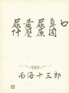尿黄尿臭口苦是什么原因