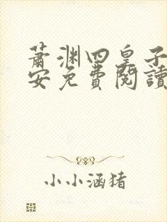 萧渊四皇子沈安安免费阅读小说全文